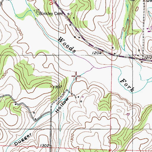 Topographic Map of Dugger Hollow, MO