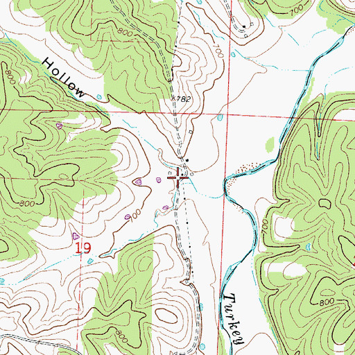 Topographic Map of Durham Hollow, MO