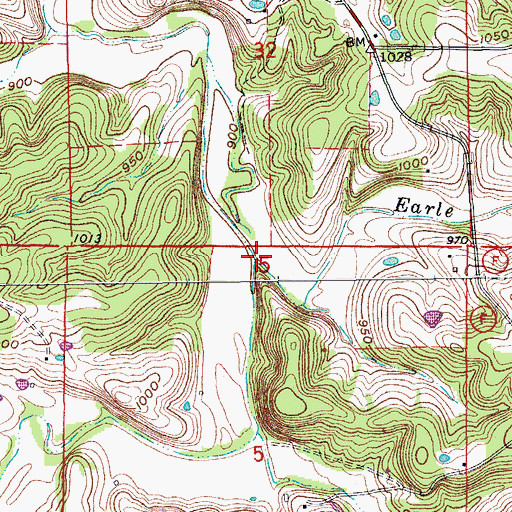 Topographic Map of Earle Branch, MO