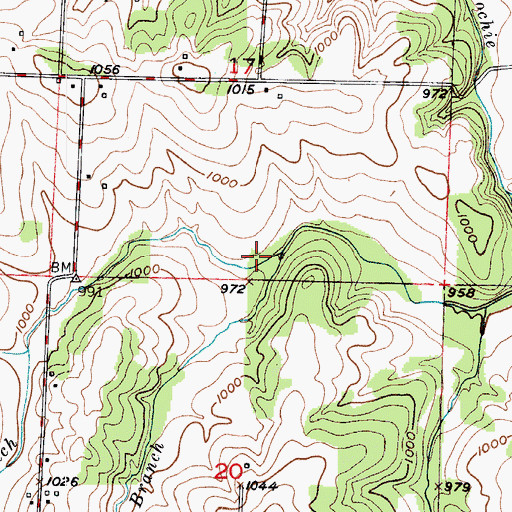 Topographic Map of East Branch Cahoochie Creek, MO