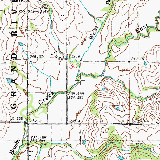 Topographic Map of East Brushy Creek, MO