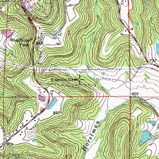 Topographic Map of Eberlin Cemetery, MO