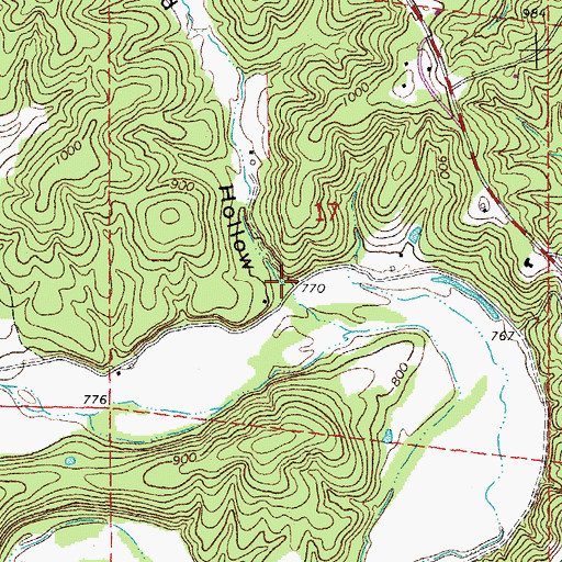 Topographic Map of Ed Hollow, MO