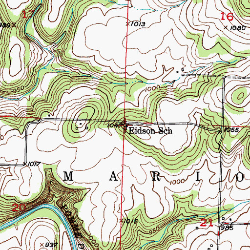 Topographic Map of Eidson School, MO