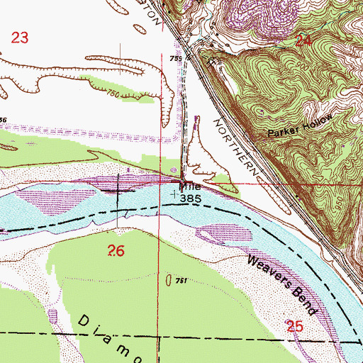 Topographic Map of Ellis Branch, MO
