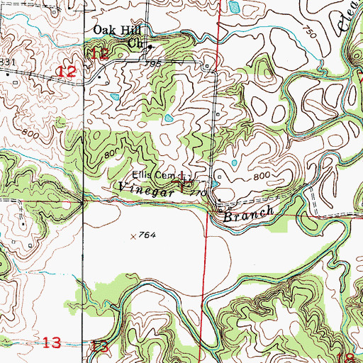 Topographic Map of Ellis Cemetery, MO
