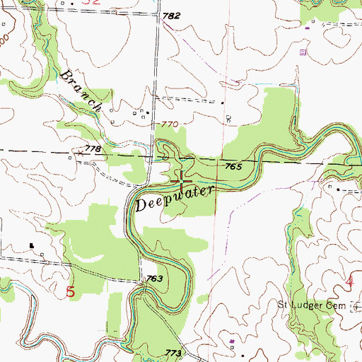 Topographic Map of Elm Branch, MO