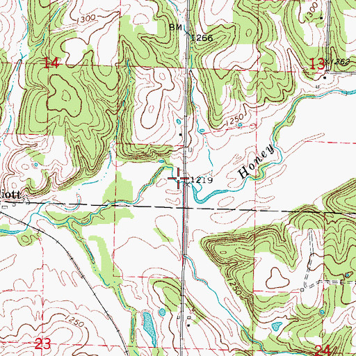Topographic Map of Elm Branch, MO