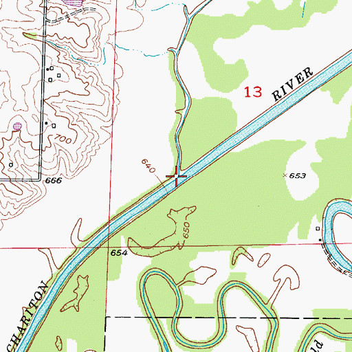 Topographic Map of Elm Branch, MO