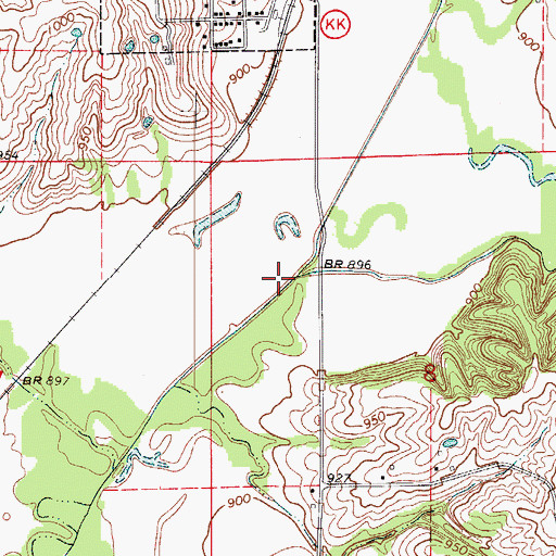 Topographic Map of Elm Branch, MO