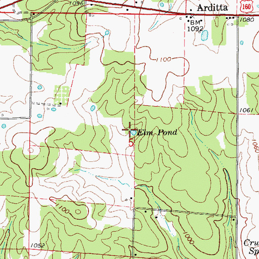 Topographic Map of Elm Pond, MO