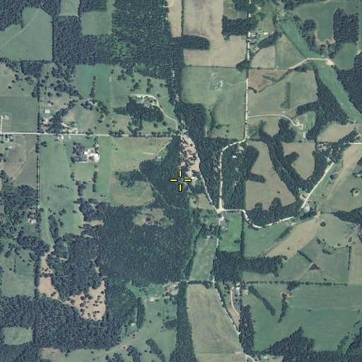 Aerial/Satellite Image of Elm Spring, MO