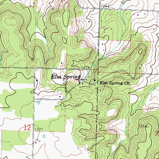 Topographic Map of Elm Spring, MO