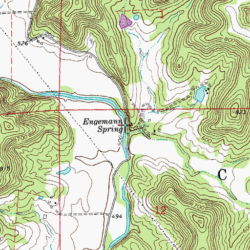Topographic Map of Engemann Spring, MO