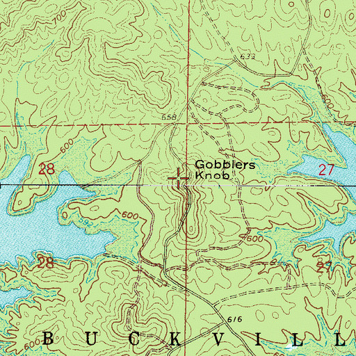 Topographic Map of Gobblers Knob, AR