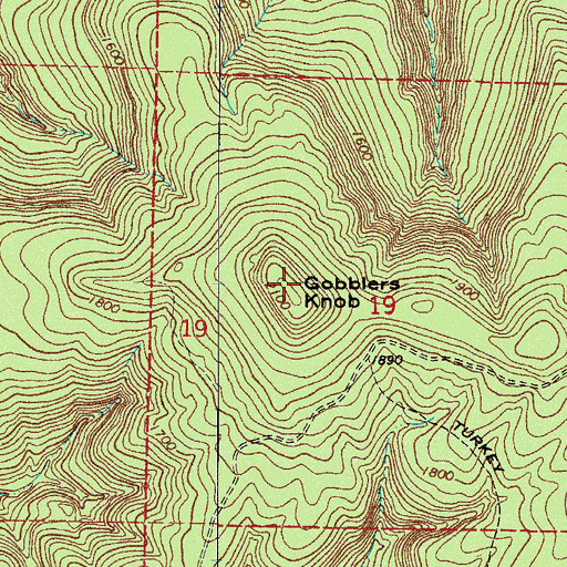 Topographic Map of Gobblers Knob, AR