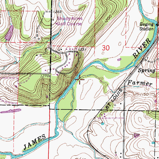 Topographic Map of Farmer Branch, MO