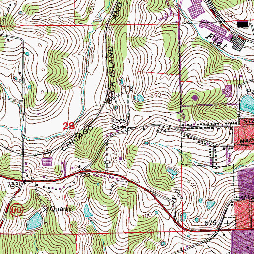 Topographic Map of Fees Cemetery, MO