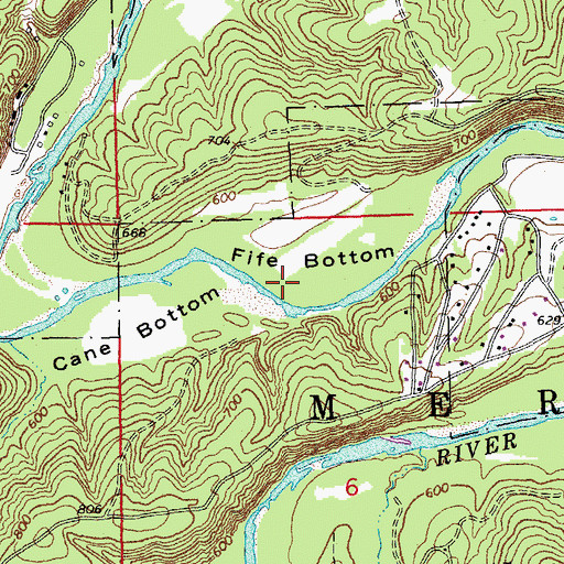 Topographic Map of Fife Bottom, MO