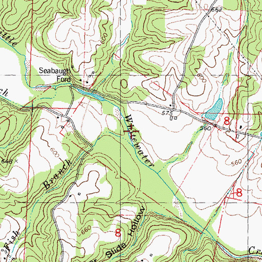 Topographic Map of Fish Branch, MO