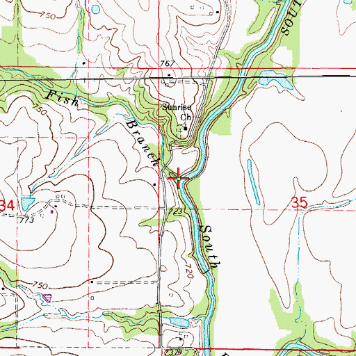 Topographic Map of Fish Branch, MO