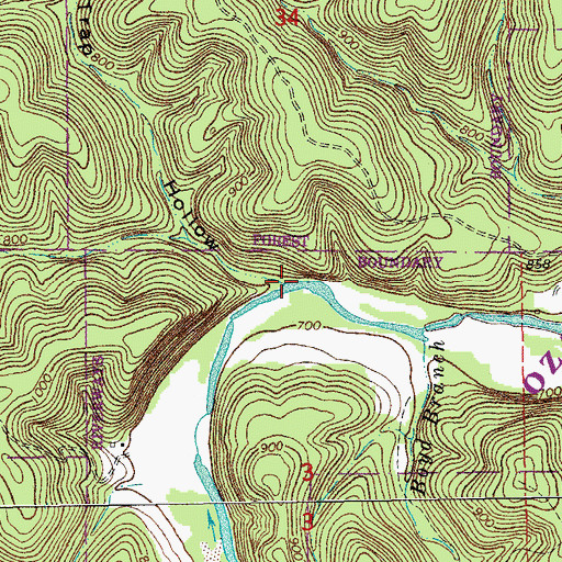 Topographic Map of Fish Trap Hollow, MO