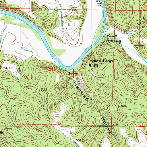 Topographic Map of Fishtrap Hollow, MO