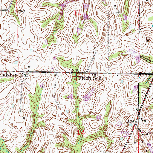 Topographic Map of Fitch School, MO