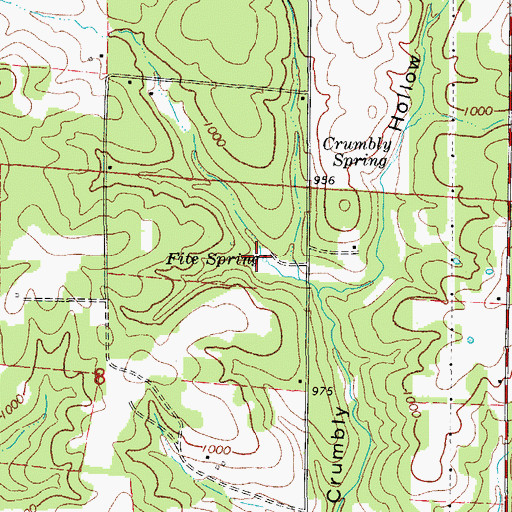 Topographic Map of Fite Spring, MO