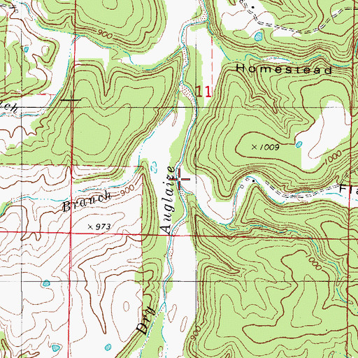 Topographic Map of Flag Hollow, MO