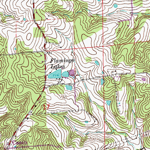 Topographic Map of Flamingo Lakes, MO