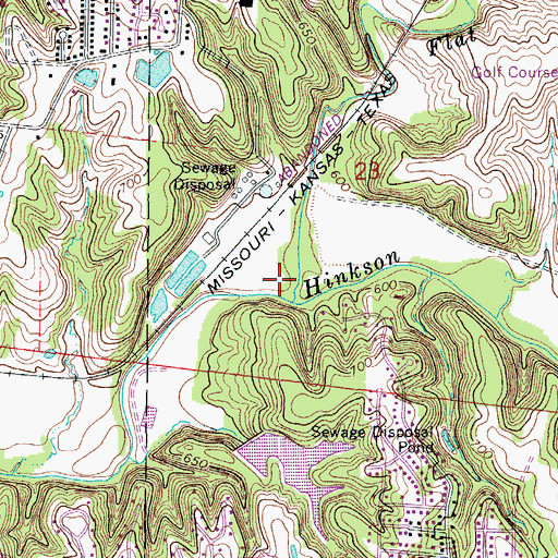 Topographic Map of Flat Branch, MO