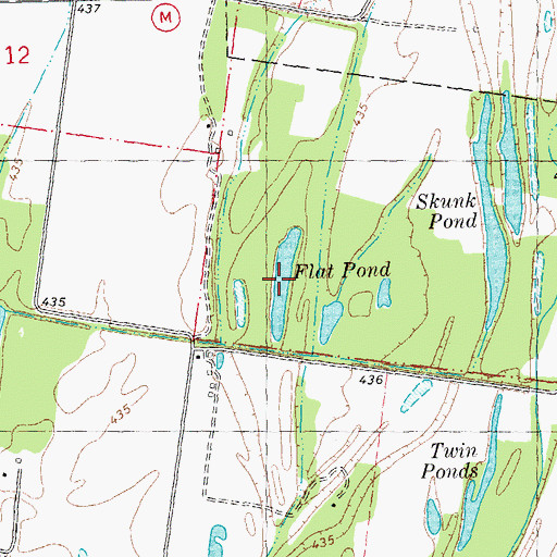 Topographic Map of Flat Pond, MO