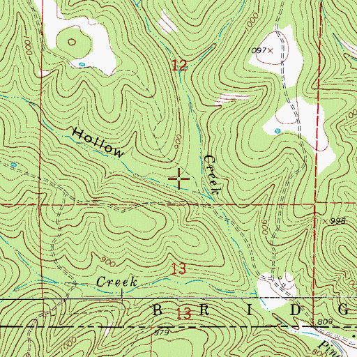 Topographic Map of Fletcher Hollow, MO
