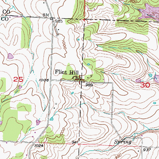 Topographic Map of Flint Hill Church, MO