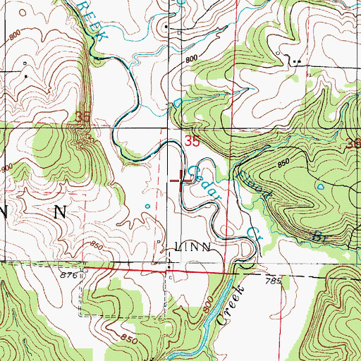 Topographic Map of Flood Branch, MO