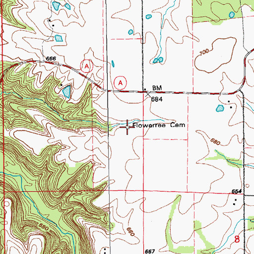 Topographic Map of Flowerree Cemetery, MO