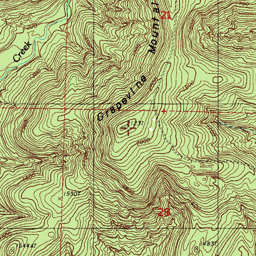 Topographic Map of Grapevine Mountain, AR