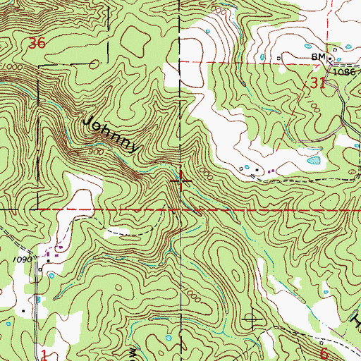 Topographic Map of Floyd Hollow, MO
