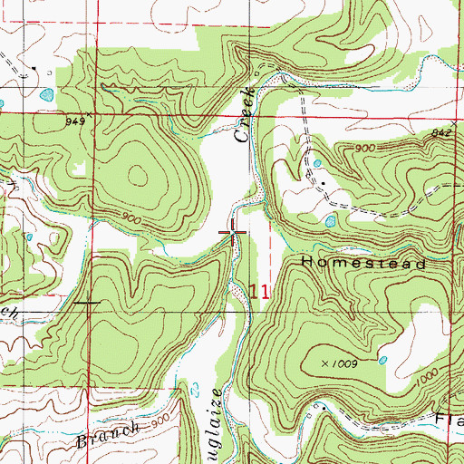 Topographic Map of Forbes Branch, MO