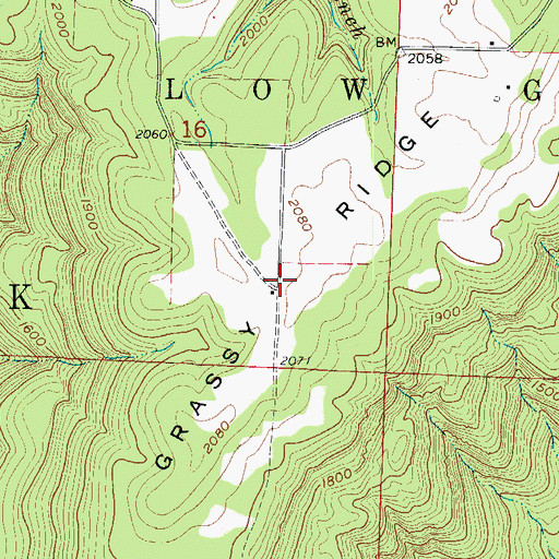 Topographic Map of Grass Ridge, AR