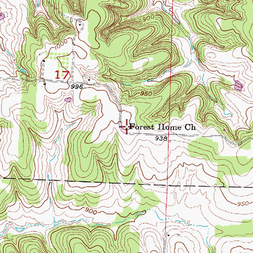 Topographic Map of Forest Home Church, MO