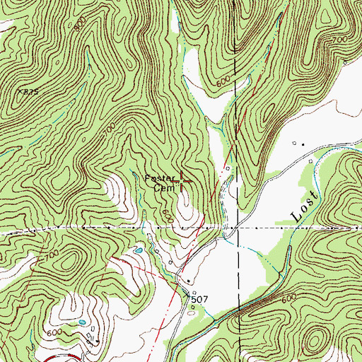 Topographic Map of Foster Cemetery, MO