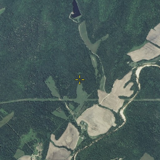 Aerial/Satellite Image of Foster Cemetery, MO