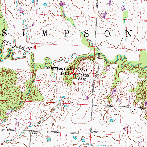 Topographic Map of Foster Cemetery, MO