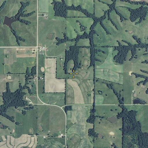 Aerial/Satellite Image of Fox Cemetery, MO