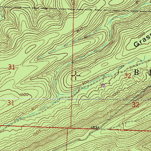 Topographic Map of Grassy Ridge, AR