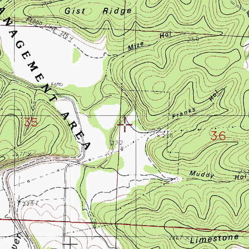 Topographic Map of Franks Hollow, MO