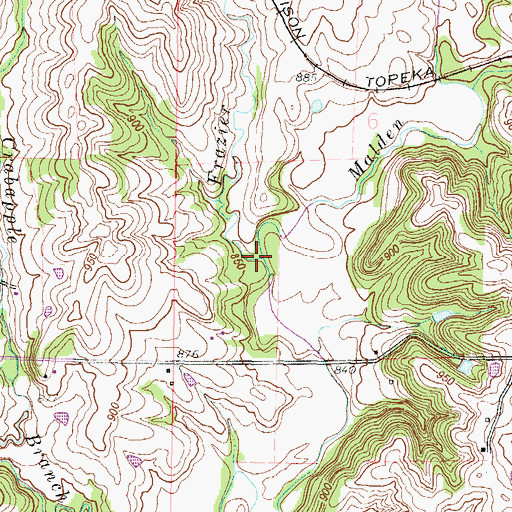 Topographic Map of Frazier Branch, MO