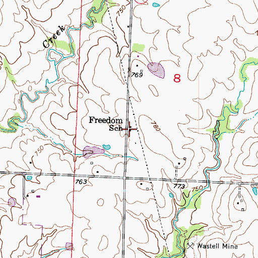 Topographic Map of Freedom School (historical), MO
